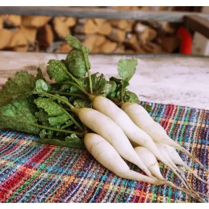 СЛИВКИ ЛЕНИВКИ