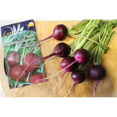 ФИОЛЕТОВАЯ КОРОЛЕВА