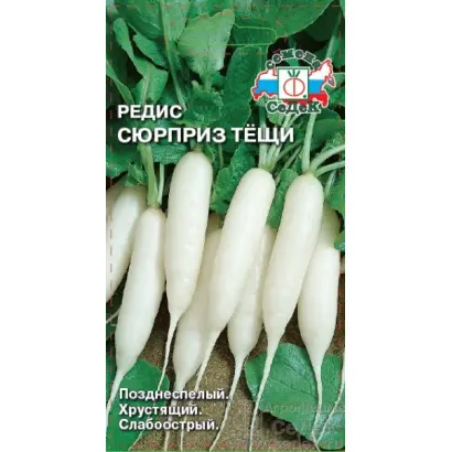 СЮРПРИЗ ТЕЩИ