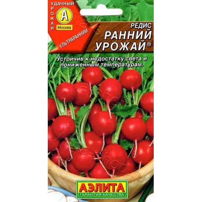 РАННИЙ УРОЖАЙ