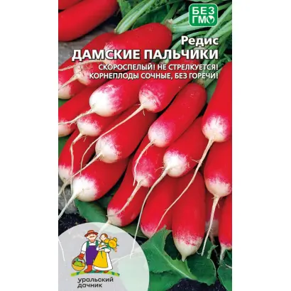 ДАМСКИЕ ПАЛЬЧИКИ