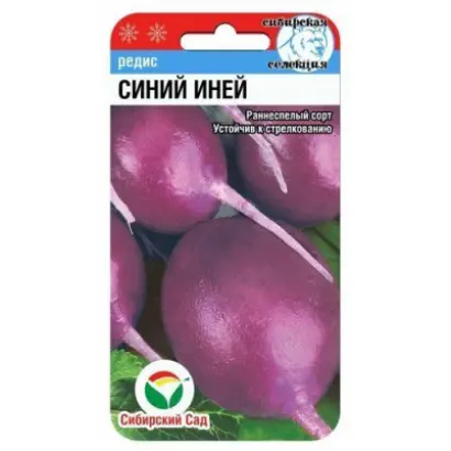 СИНИЙ ИНЕЙ