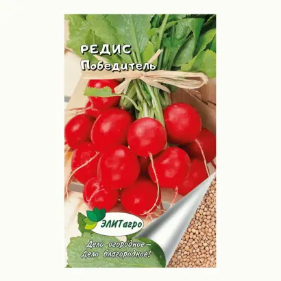 ПОБЕДИТЕЛЬ