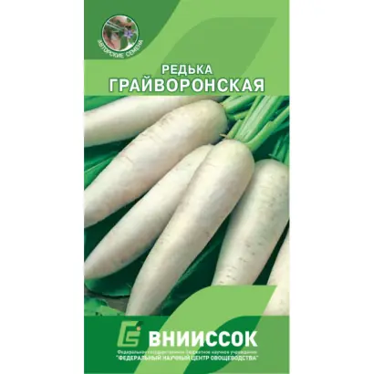 ГРАЙВОРОНСКАЯ