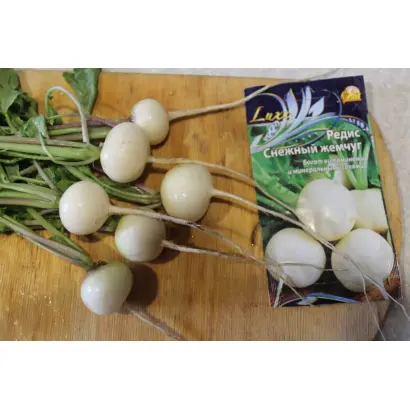 ЧЕРНЫЙ ЖЕМЧУГ