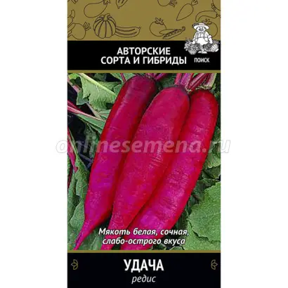 ОСЕННЯЯ УДАЧА