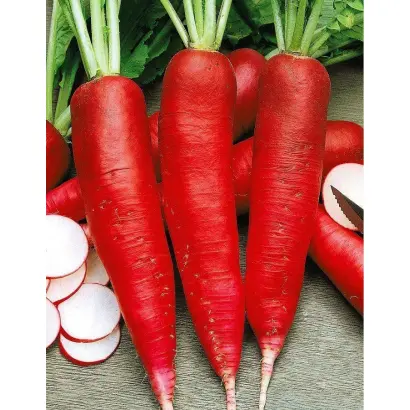 ЗНАМЯ ЛЕНИНА