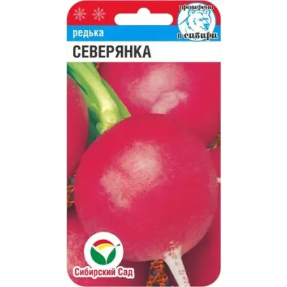 СЕВЕРЯНКА