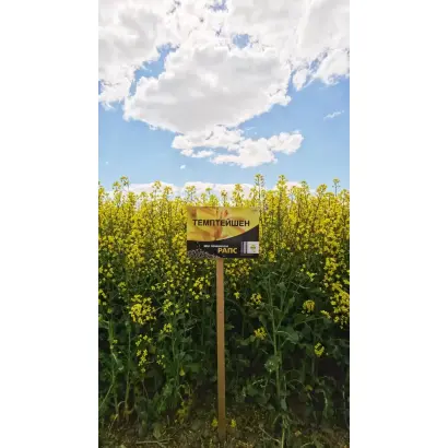 ТЕМПТЕЙШЕН