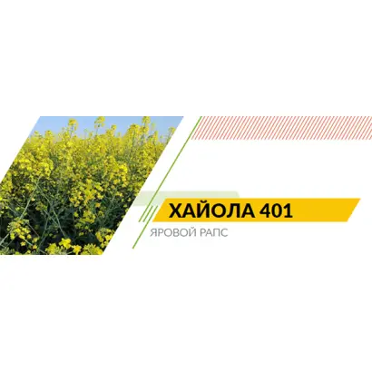ХАЙОЛА 401