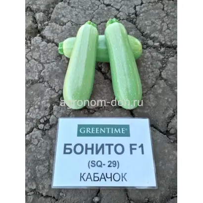 БОНИТО