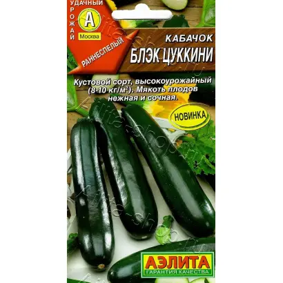 БЛЭК ЦУККИНИ