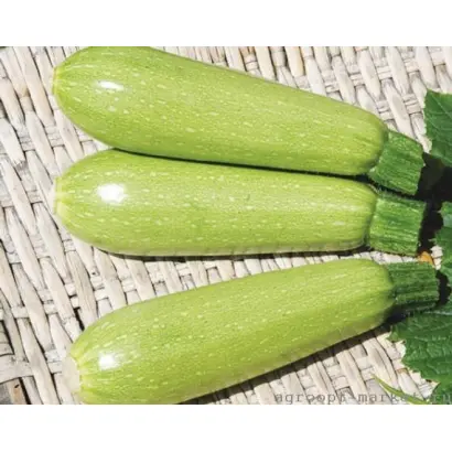 ДОНЬЯ ПЕРФЕКТА