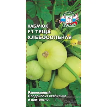 ТЁЩА ХЛЕБОСОЛЬНАЯ