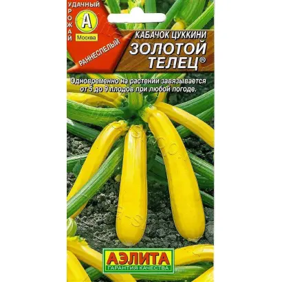 ЗОЛОТОЙ ТЕЛЕЦ