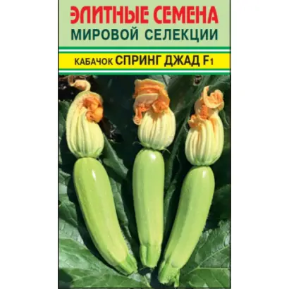 СПРИНГ ДЖАД