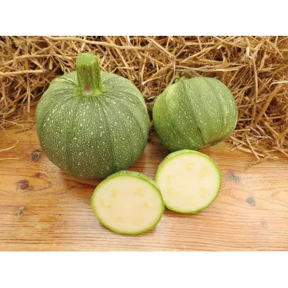 ТИНТОРЕТТО