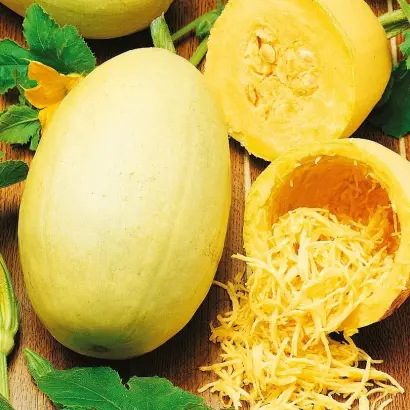 СПАГЕТТИ РАВИОЛО