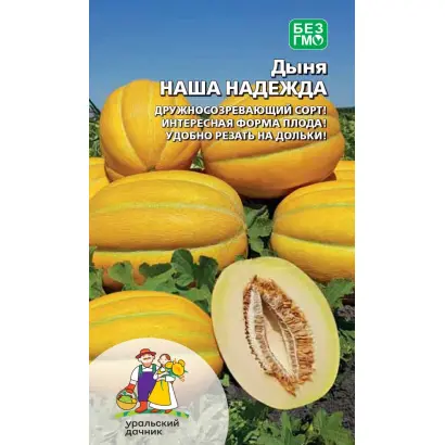 НАША НАДЕЖДА