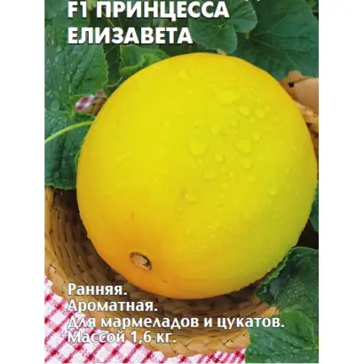 ПРИНЦЕССА ЕЛИЗАВЕТА