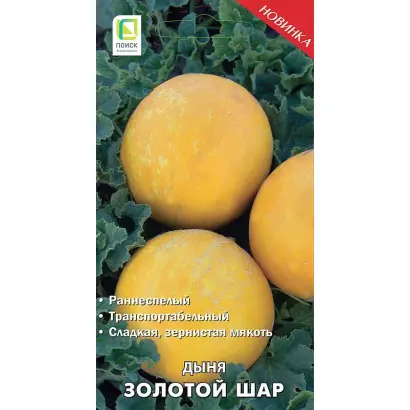 ЗОЛОТОЙ ШАР