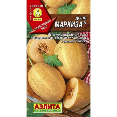МАРКИЗА