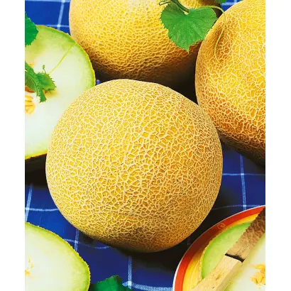 ОСЕННЯЯ РАДОСТЬ