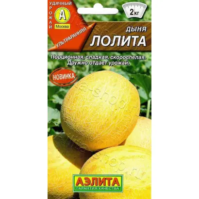 ЛОЛИТА
