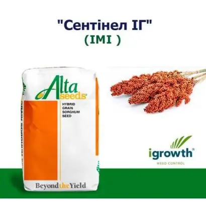 СЕНТИНЕЛ ИГ