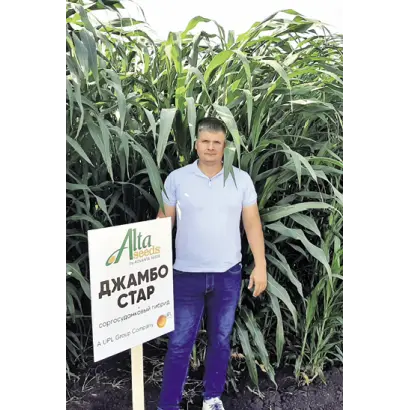 ДЖАМБО СТАР