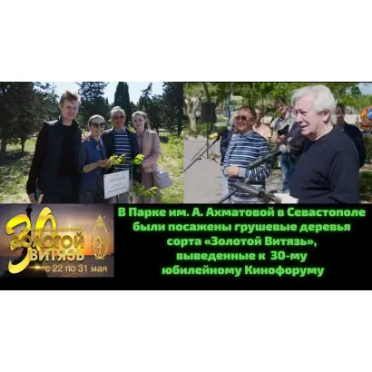 ЗОЛОТОЙ ВИТЯЗЬ