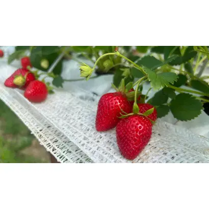 АКАДЕМИК ХАБАРОВ