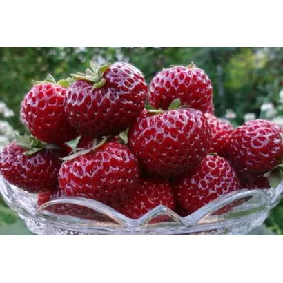 КРАСА ПОДМОСКОВЬЯ