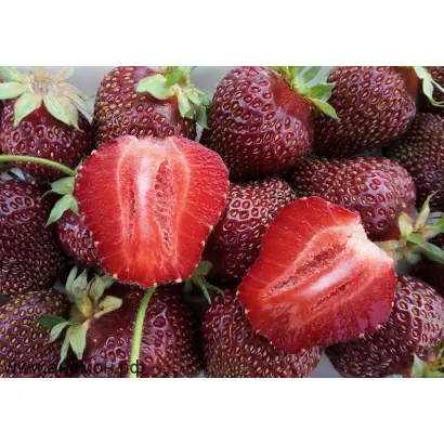 РУБИНОВЫЙ КУЛОН