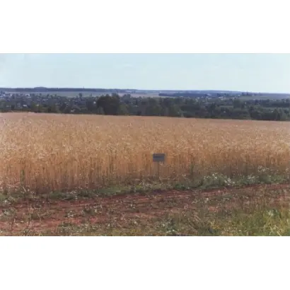 КИРОВСКАЯ 89