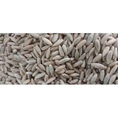 ТАЛОВСКАЯ 29