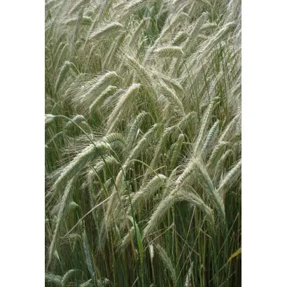 ТАТАРСКАЯ 1