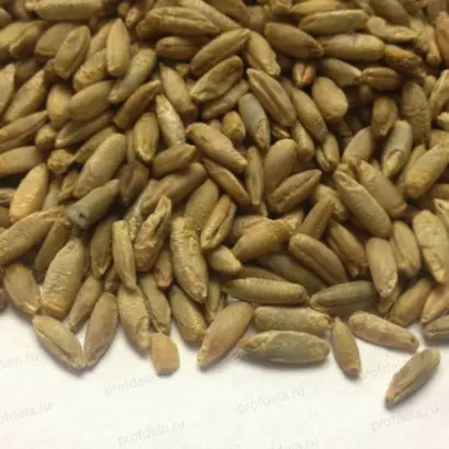 ПАМЯТЬ КОНДРАТЕНКО