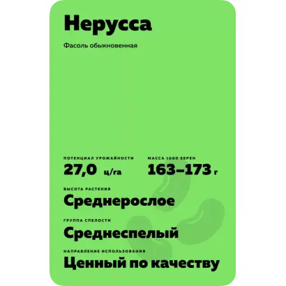 НЕРУССА