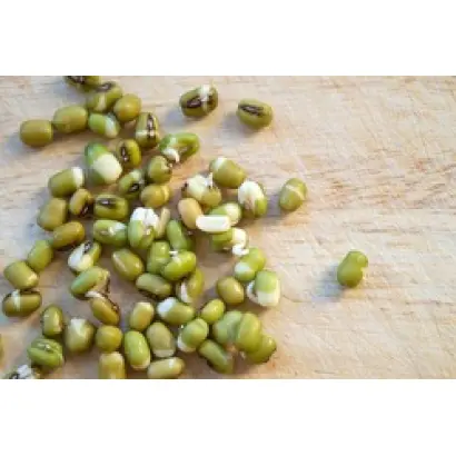 ЗОЛОТИСТАЯ