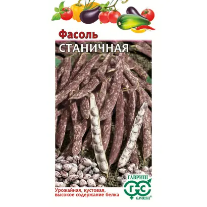 СТАНИЧНАЯ