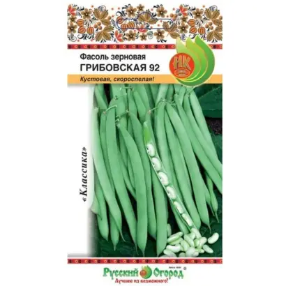 ГРИБОВСКАЯ 92
