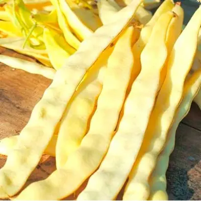 ВОДОПАД ЖЕЛТЫЙ