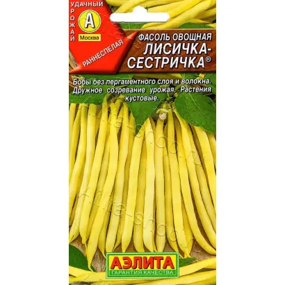 ЛИСИЧКА-СЕСТРИЧКА