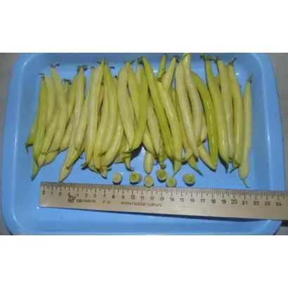 ФЕДОСЕЕВНА