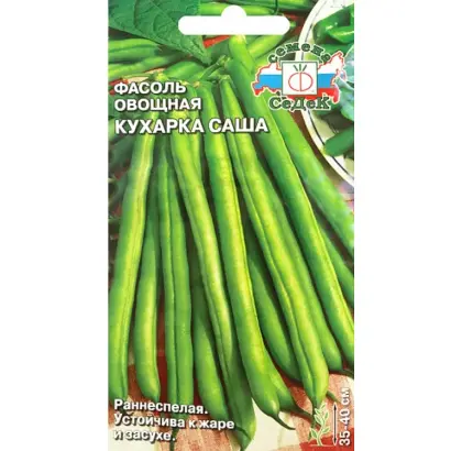 КУХАРКА САША