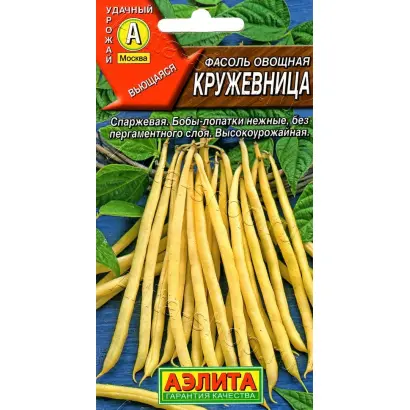 КРУЖЕВНИЦА