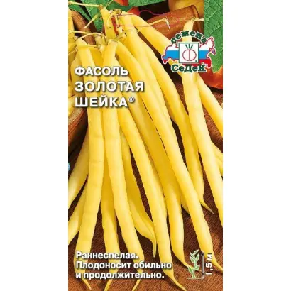 ЗОЛОТАЯ ШЕЙКА