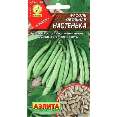 НАСТЕНА