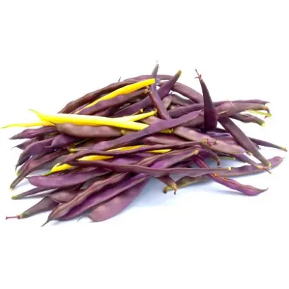 ДРАКИНСКАЯ